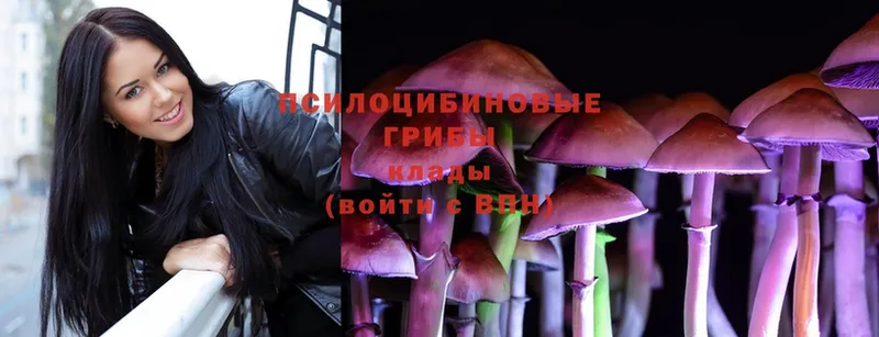 где купить наркоту  hydra вход  Псилоцибиновые грибы Magic Shrooms  Беслан 